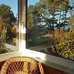Adler- Seeseite Heringsdorf (Usedom)