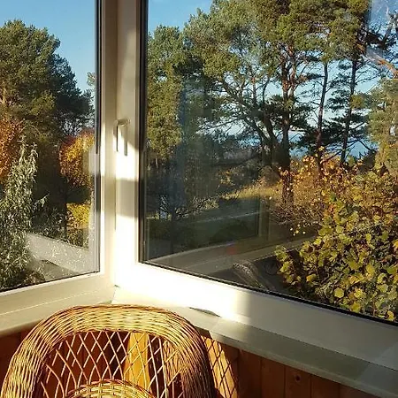 Adler- Seeseite Heringsdorf (Usedom)